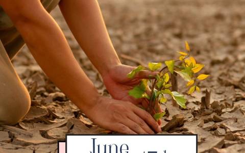 World Day to Combat Desertification and Drought